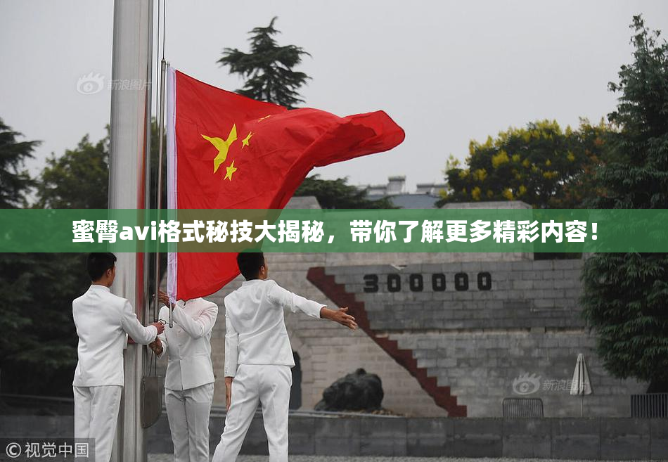 蜜臀avi格式秘技大揭秘，带你了解更多精彩内容！
