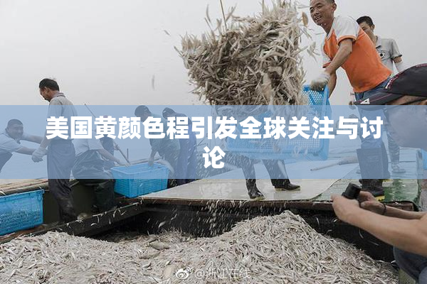 美国黄颜色程引发全球关注与讨论