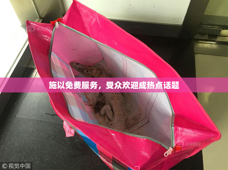 施以免费服务，受众欢迎成热点话题