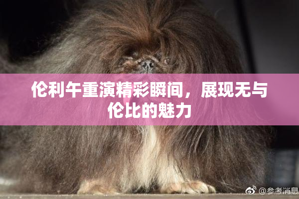 伦利午重演精彩瞬间，展现无与伦比的魅力