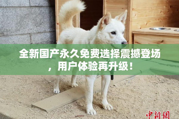 全新国产永久免费选择震撼登场，用户体验再升级！