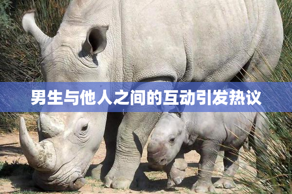 男生与他人之间的互动引发热议