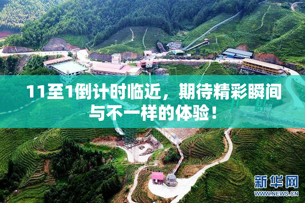 11至1倒计时临近，期待精彩瞬间与不一样的体验！