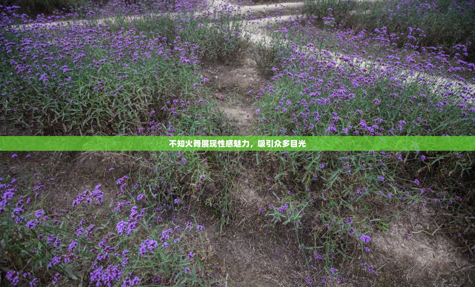 不知火舞展现性感魅力，吸引众多目光