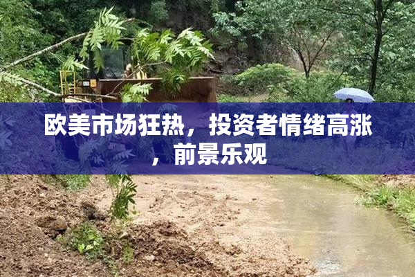欧美市场狂热，投资者情绪高涨，前景乐观