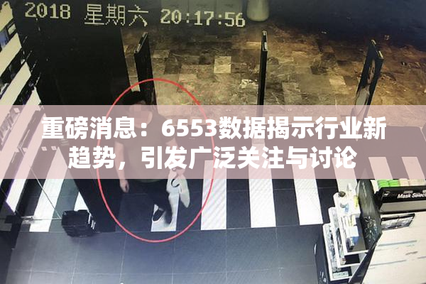 重磅消息：6553数据揭示行业新趋势，引发广泛关注与讨论