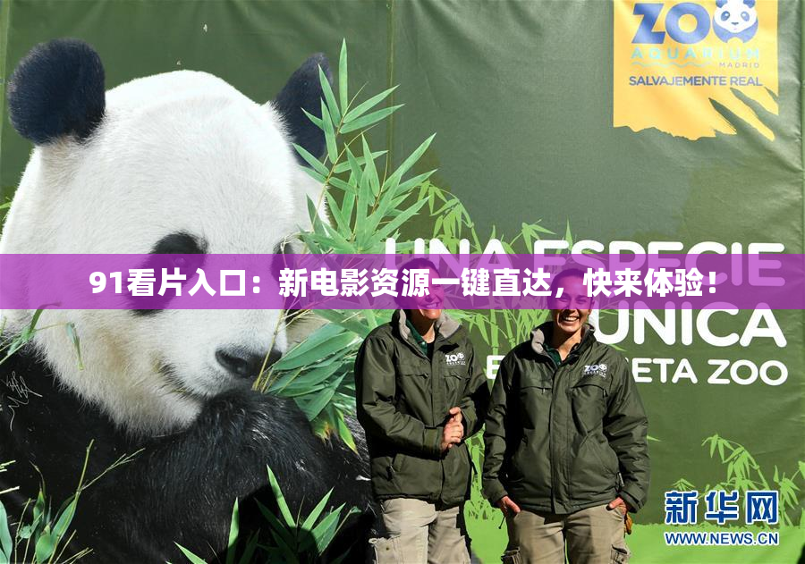 91看片入口：新电影资源一键直达，快来体验！