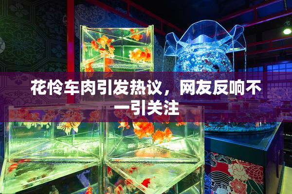 花怜车肉引发热议，网友反响不一引关注