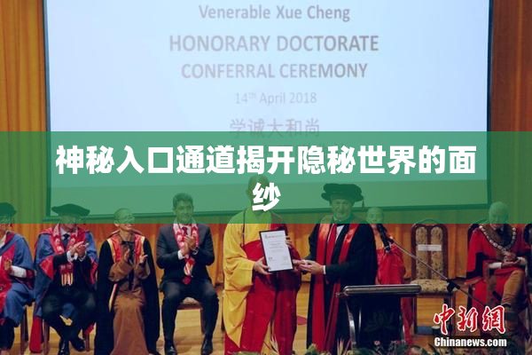神秘入口通道揭开隐秘世界的面纱