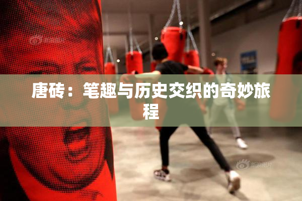 唐砖：笔趣与历史交织的奇妙旅程