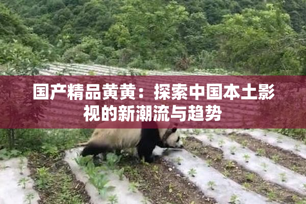 国产精品黄黄：探索中国本土影视的新潮流与趋势