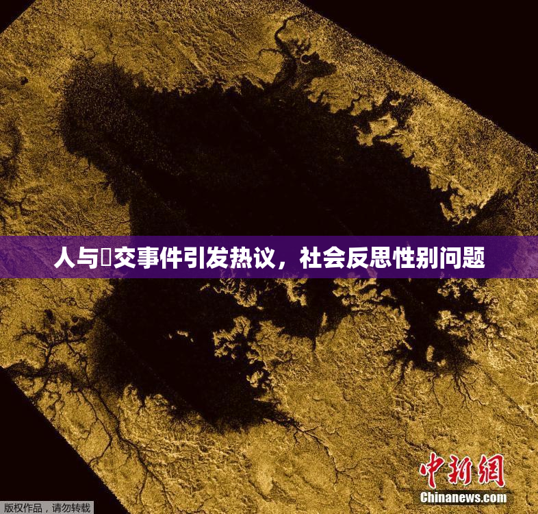 人与嘼交事件引发热议，社会反思性别问题