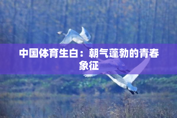 中国体育生白：朝气蓬勃的青春象征