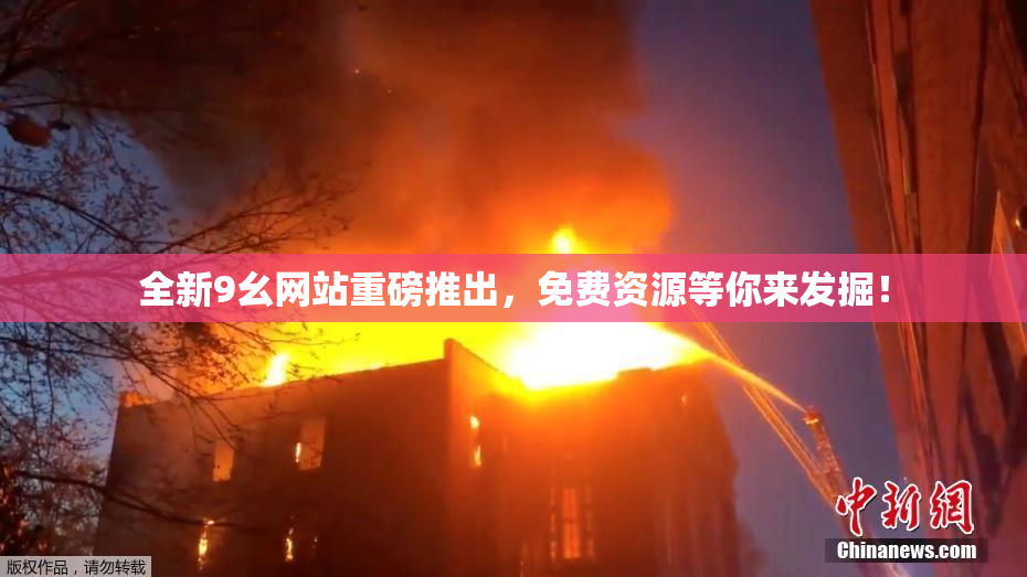 全新9幺网站重磅推出，免费资源等你来发掘！