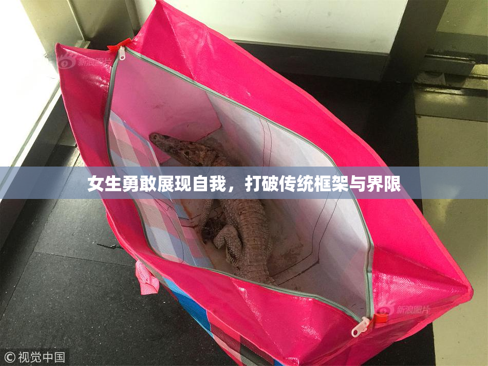 女生勇敢展现自我，打破传统框架与界限