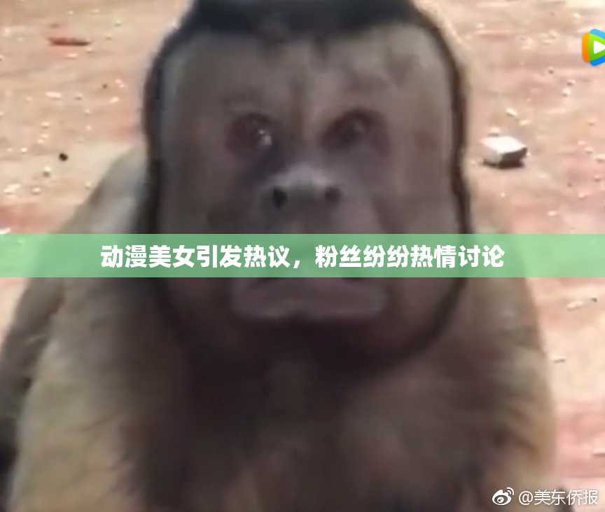 动漫美女引发热议，粉丝纷纷热情讨论