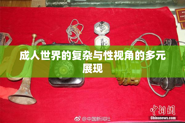 成人世界的复杂与性视角的多元展现