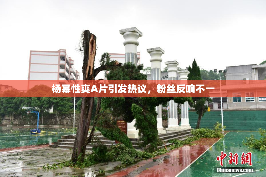 杨幂性爽A片引发热议，粉丝反响不一