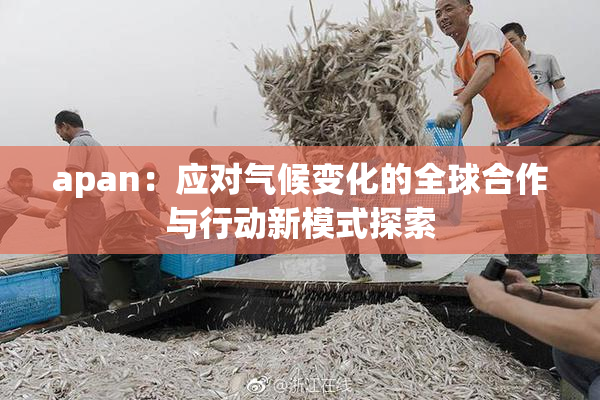 apan：应对气候变化的全球合作与行动新模式探索