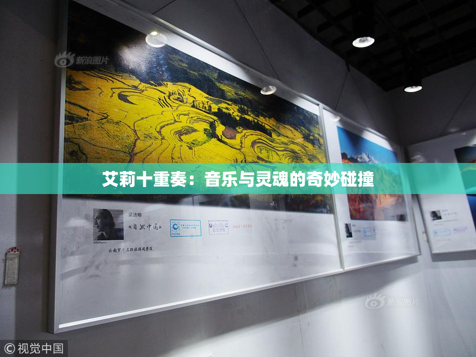 艾莉十重奏：音乐与灵魂的奇妙碰撞