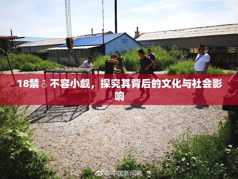 18禁♂不容小觑，探究其背后的文化与社会影响