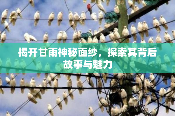 揭开甘雨神秘面纱，探索其背后故事与魅力