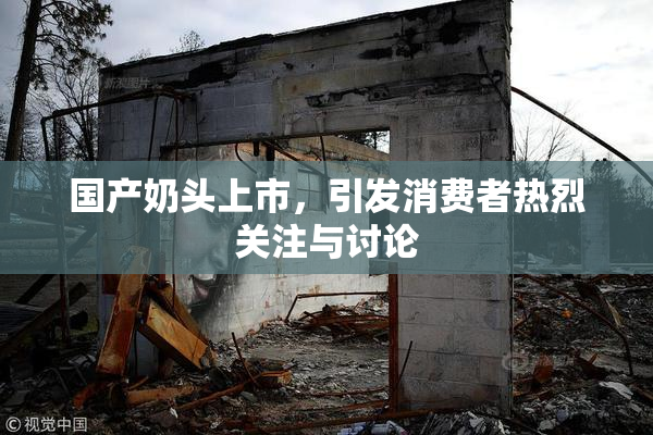 国产奶头上市，引发消费者热烈关注与讨论