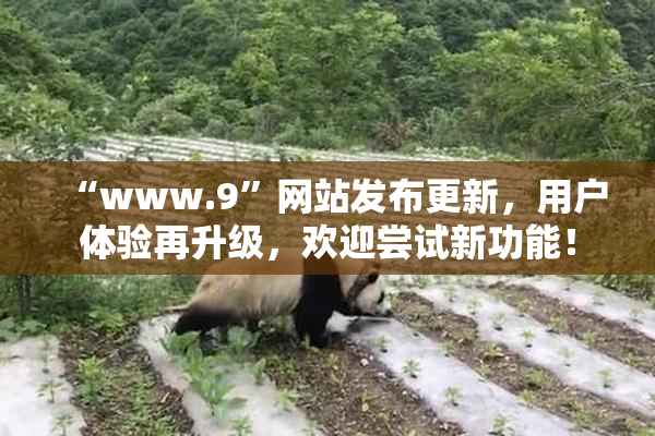 “www.9”网站发布更新，用户体验再升级，欢迎尝试新功能！