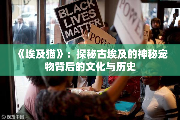 《埃及猫》：探秘古埃及的神秘宠物背后的文化与历史