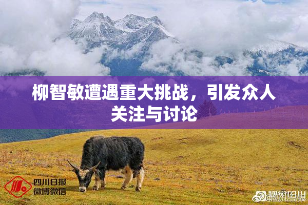 柳智敏遭遇重大挑战，引发众人关注与讨论