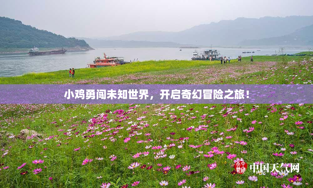 小鸡勇闯未知世界，开启奇幻冒险之旅！