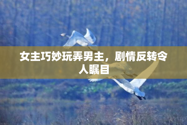 女主巧妙玩弄男主，剧情反转令人瞩目