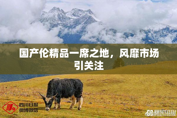 国产伦精品一席之地，风靡市场引关注