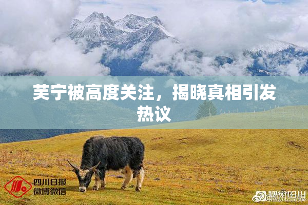 芙宁被高度关注，揭晓真相引发热议