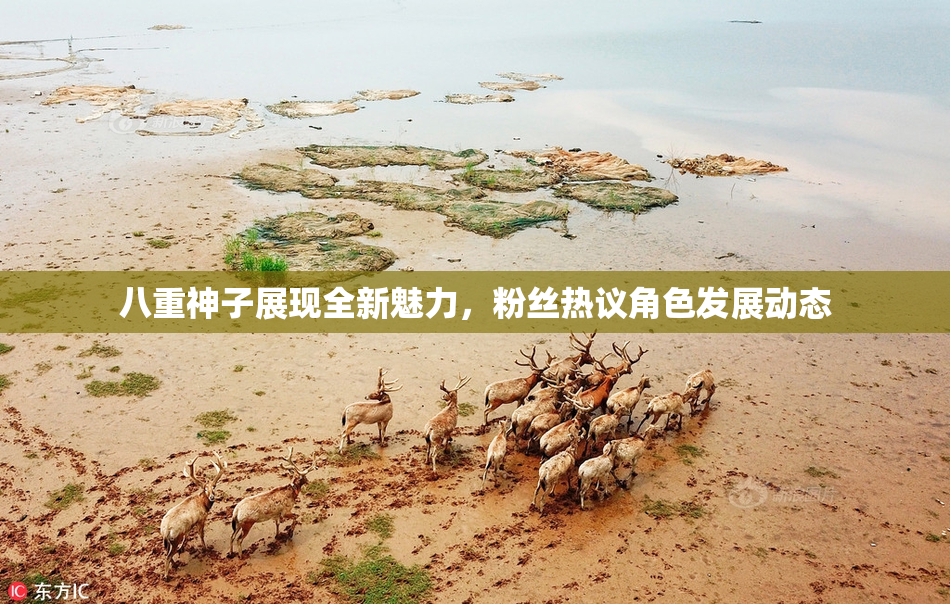 八重神子展现全新魅力，粉丝热议角色发展动态