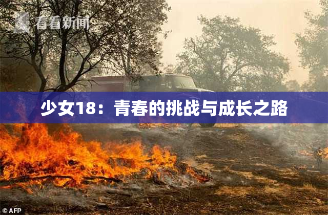 少女18：青春的挑战与成长之路