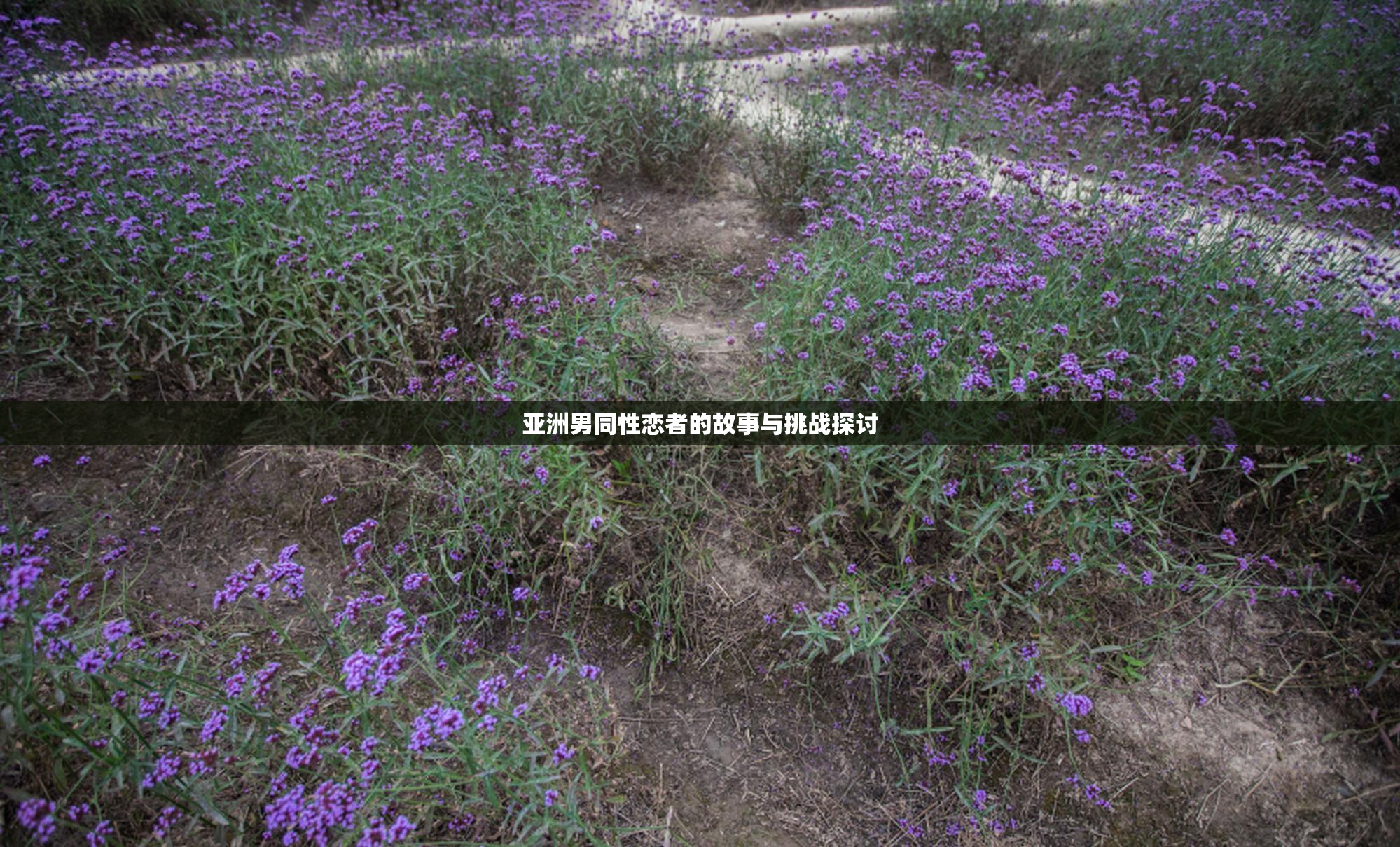 亚洲男同性恋者的故事与挑战探讨