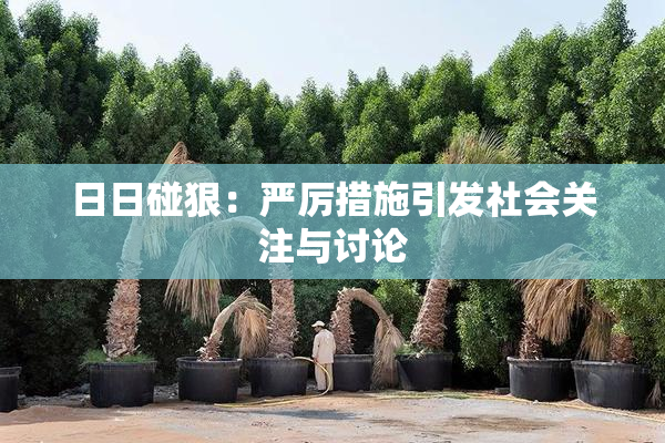 日日碰狠：严厉措施引发社会关注与讨论