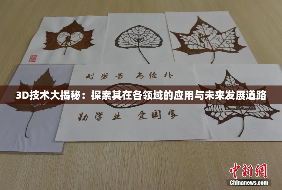 3D技术大揭秘：探索其在各领域的应用与未来发展道路