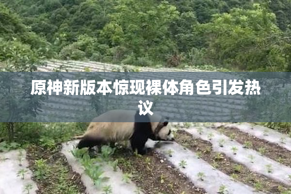 原神新版本惊现裸体角色引发热议
