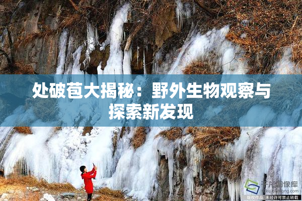 处破苞大揭秘：野外生物观察与探索新发现