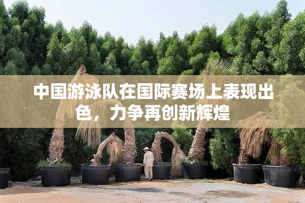 中国游泳队在国际赛场上表现出色，力争再创新辉煌