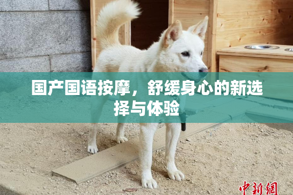 国产国语按摩，舒缓身心的新选择与体验