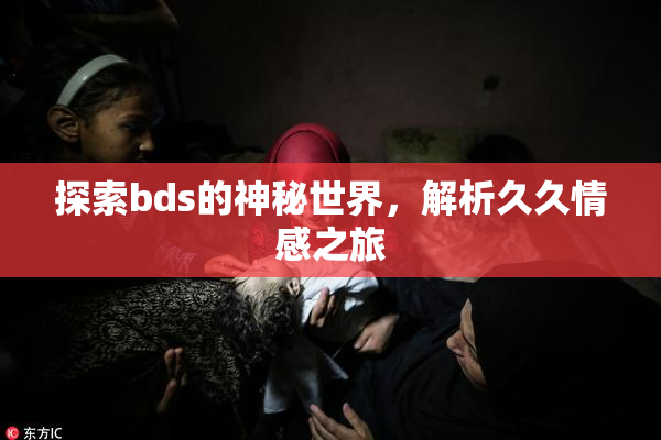 探索bds的神秘世界，解析久久情感之旅