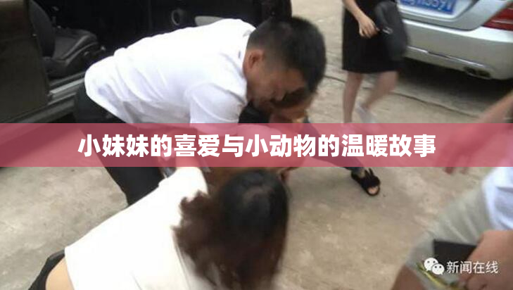 小妹妹的喜爱与小动物的温暖故事