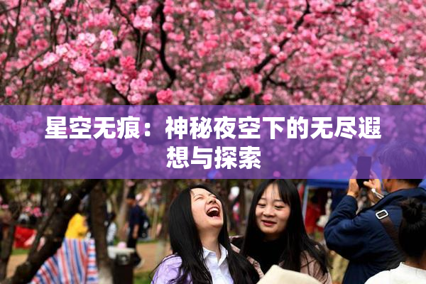 星空无痕：神秘夜空下的无尽遐想与探索