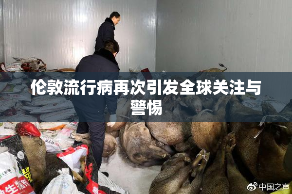 伦敦流行病再次引发全球关注与警惕
