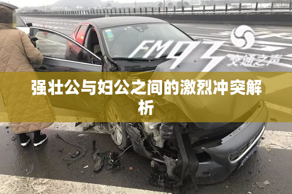 强壮公与妇公之间的激烈冲突解析