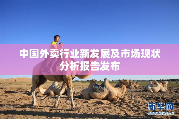 中国外卖行业新发展及市场现状分析报告发布