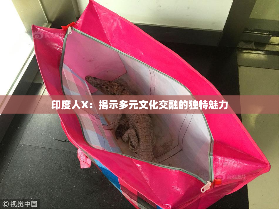 印度人X：揭示多元文化交融的独特魅力